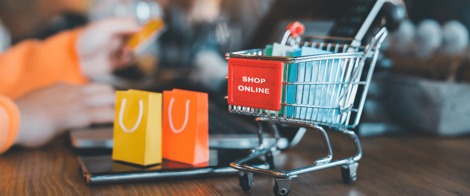 Types of Ecommerce Businesses